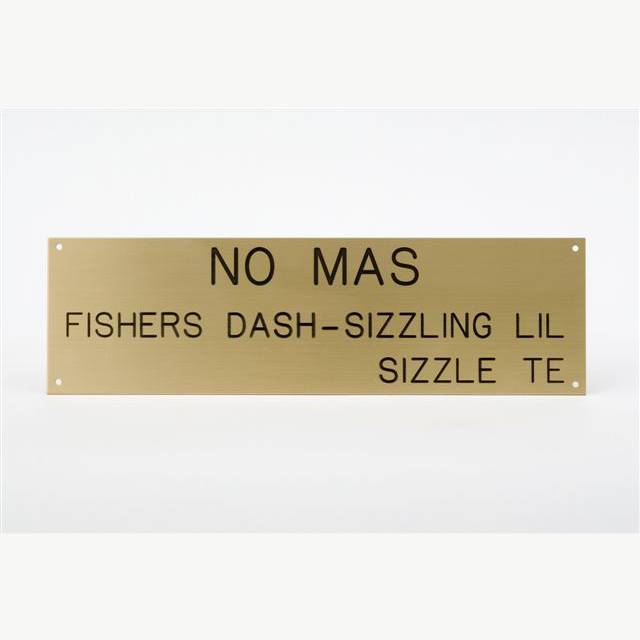 SOLID BRASS STALL PLATES